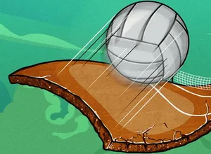 Վիրտուալ վոլեյբոլ